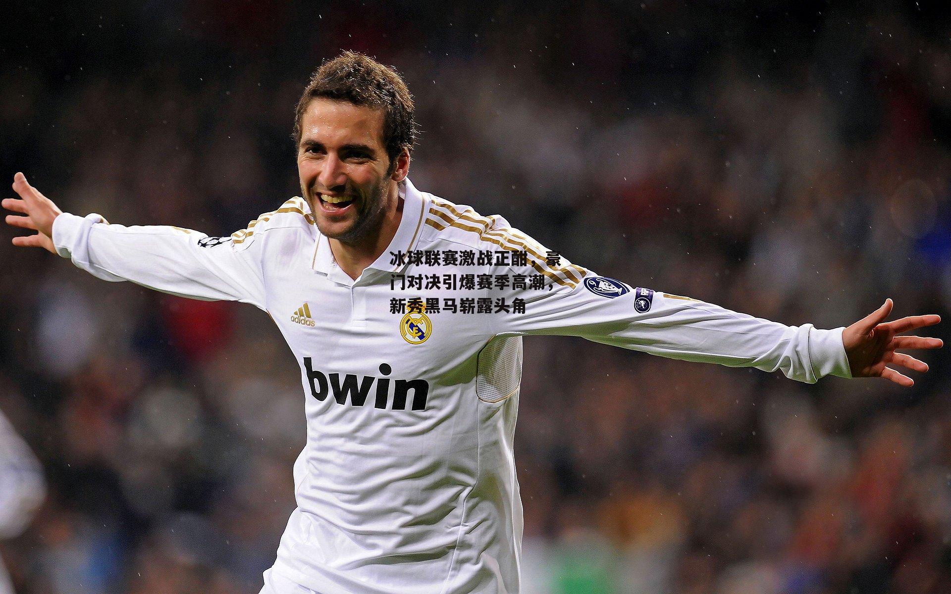 冰球联赛激战正酣,豪门对决引爆赛季高潮,新秀黑马崭露头角