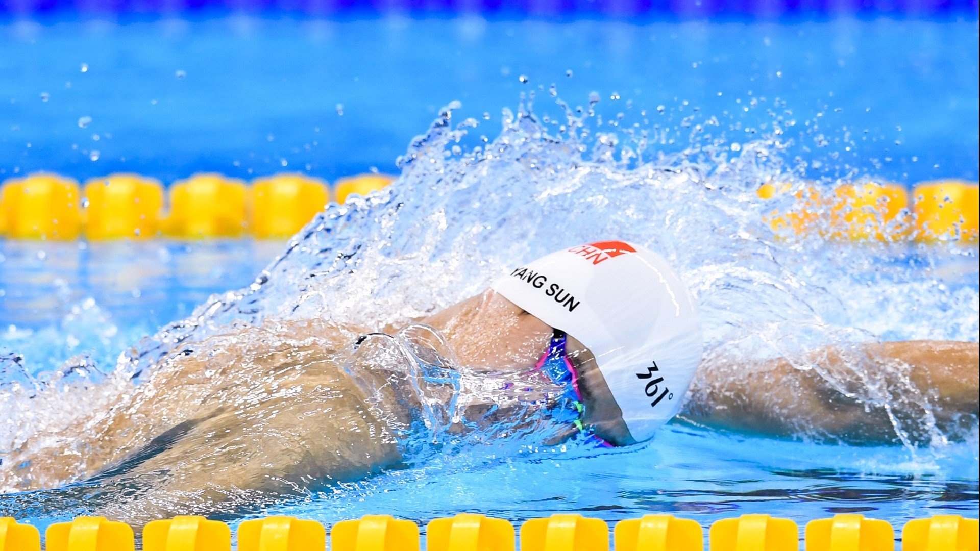 球迷文化塑造赛场灵魂，从助威到社区，体育精神的多元表达