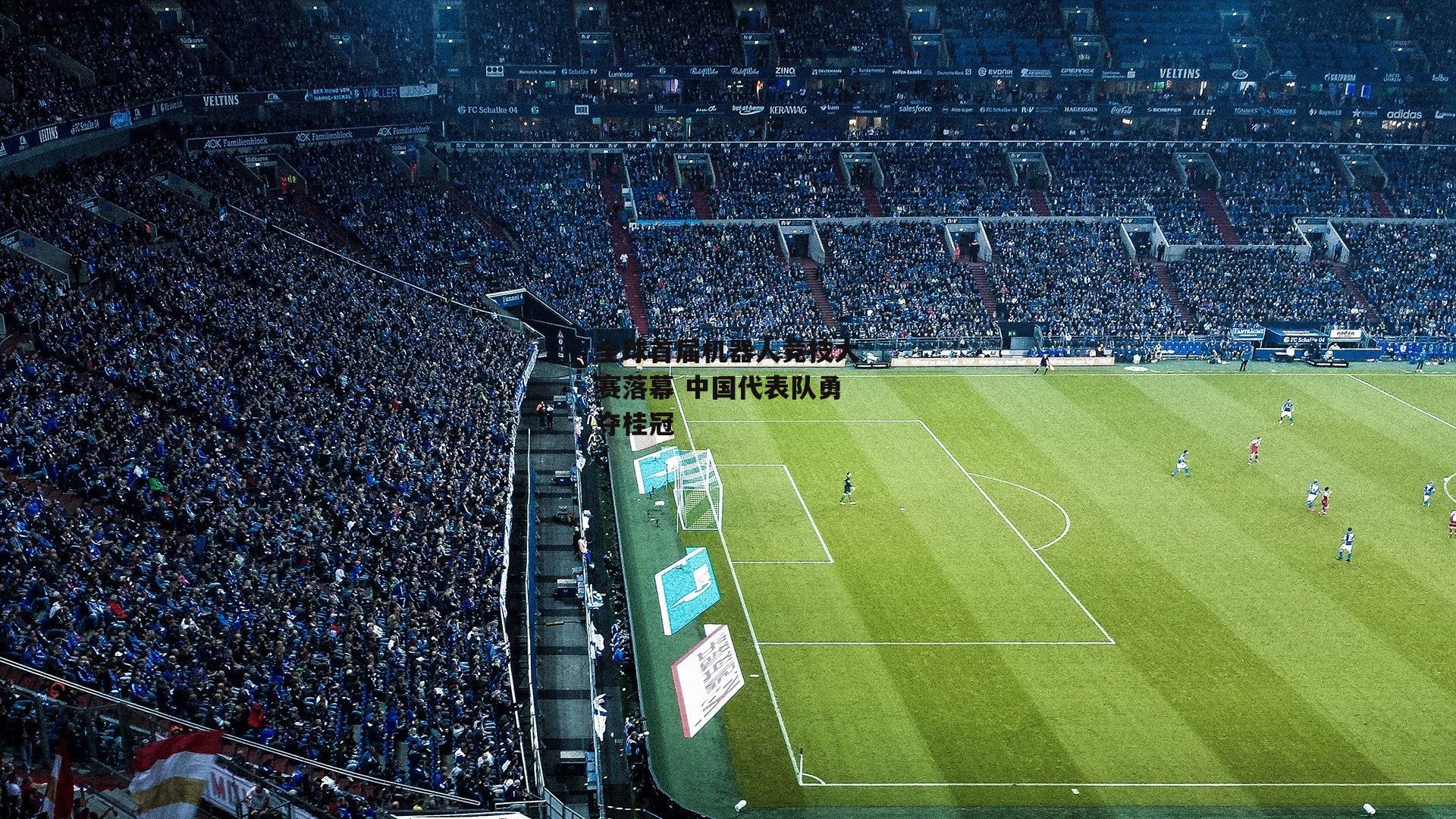 全球首届机器人竞技大赛落幕 中国代表队勇夺桂冠