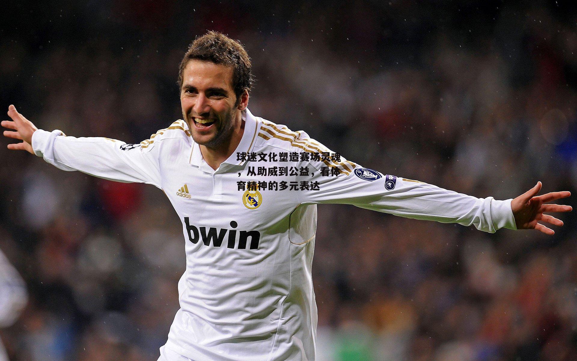 球迷文化塑造赛场灵魂,从助威到公益,看体育精神的多元表达