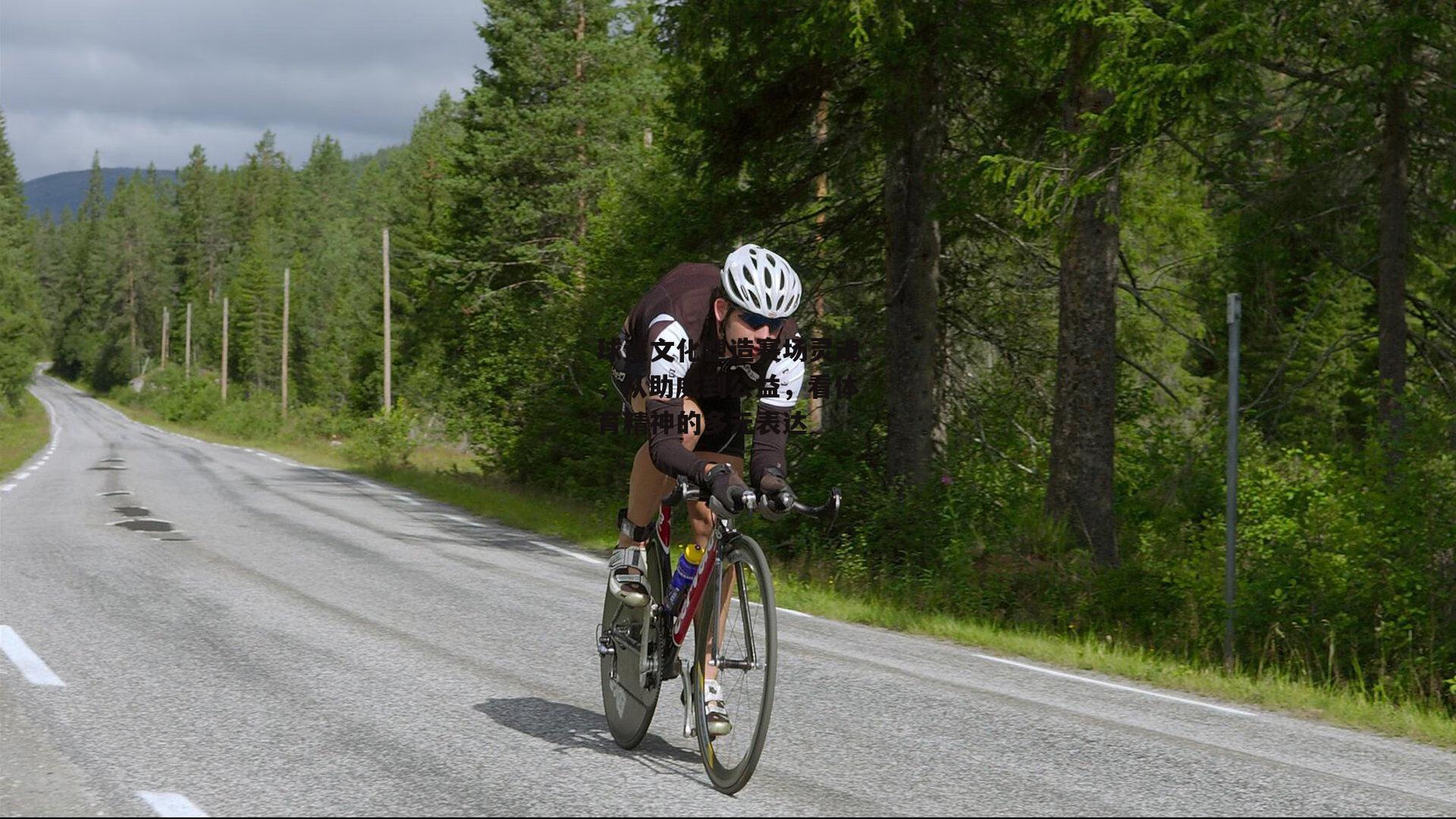 球迷文化塑造赛场灵魂,从助威到公益,看体育精神的多元表达