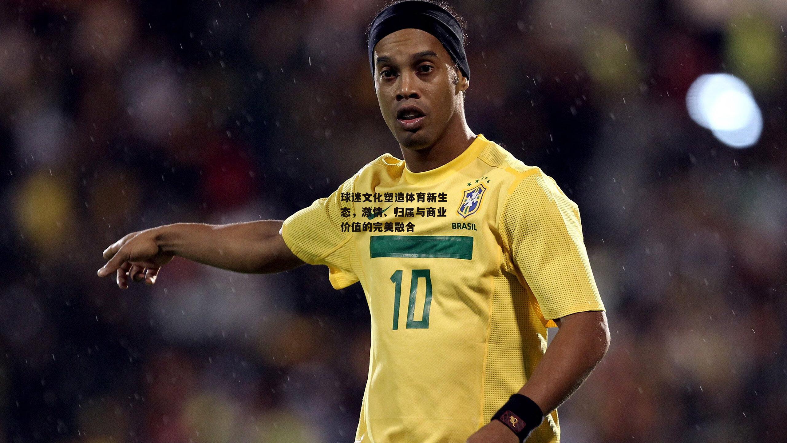 球迷文化塑造体育新生态,激情、归属与商业价值的完美融合