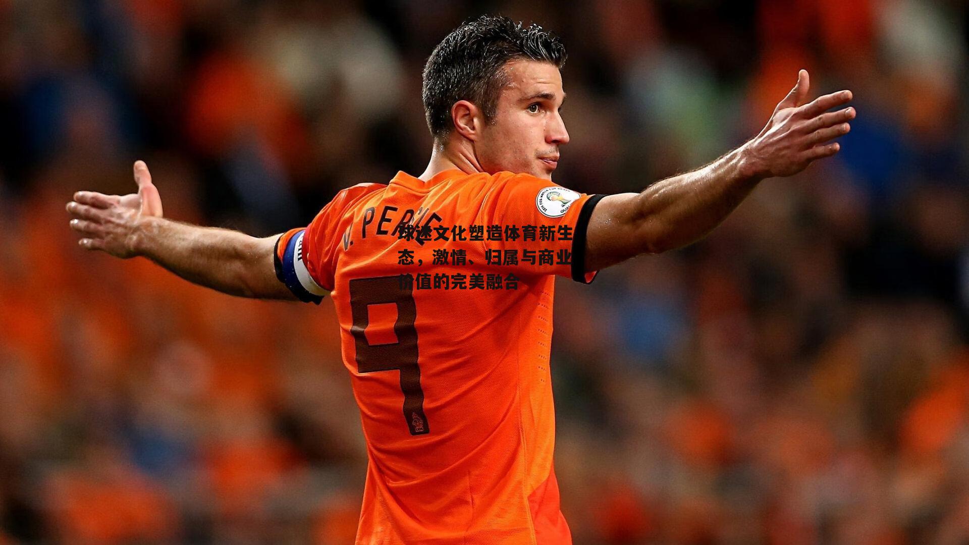 球迷文化塑造体育新生态,激情、归属与商业价值的完美融合