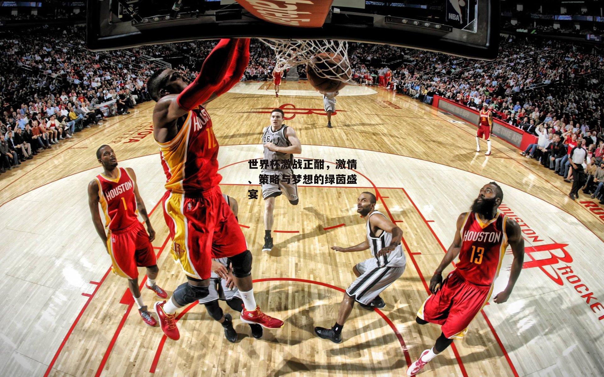 世界杯激战正酣,激情、策略与梦想的绿茵盛宴