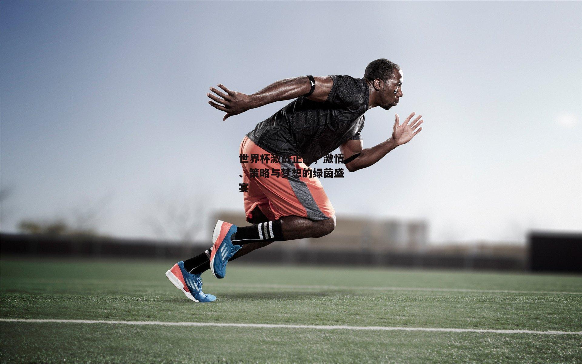 世界杯激战正酣,激情、策略与梦想的绿茵盛宴