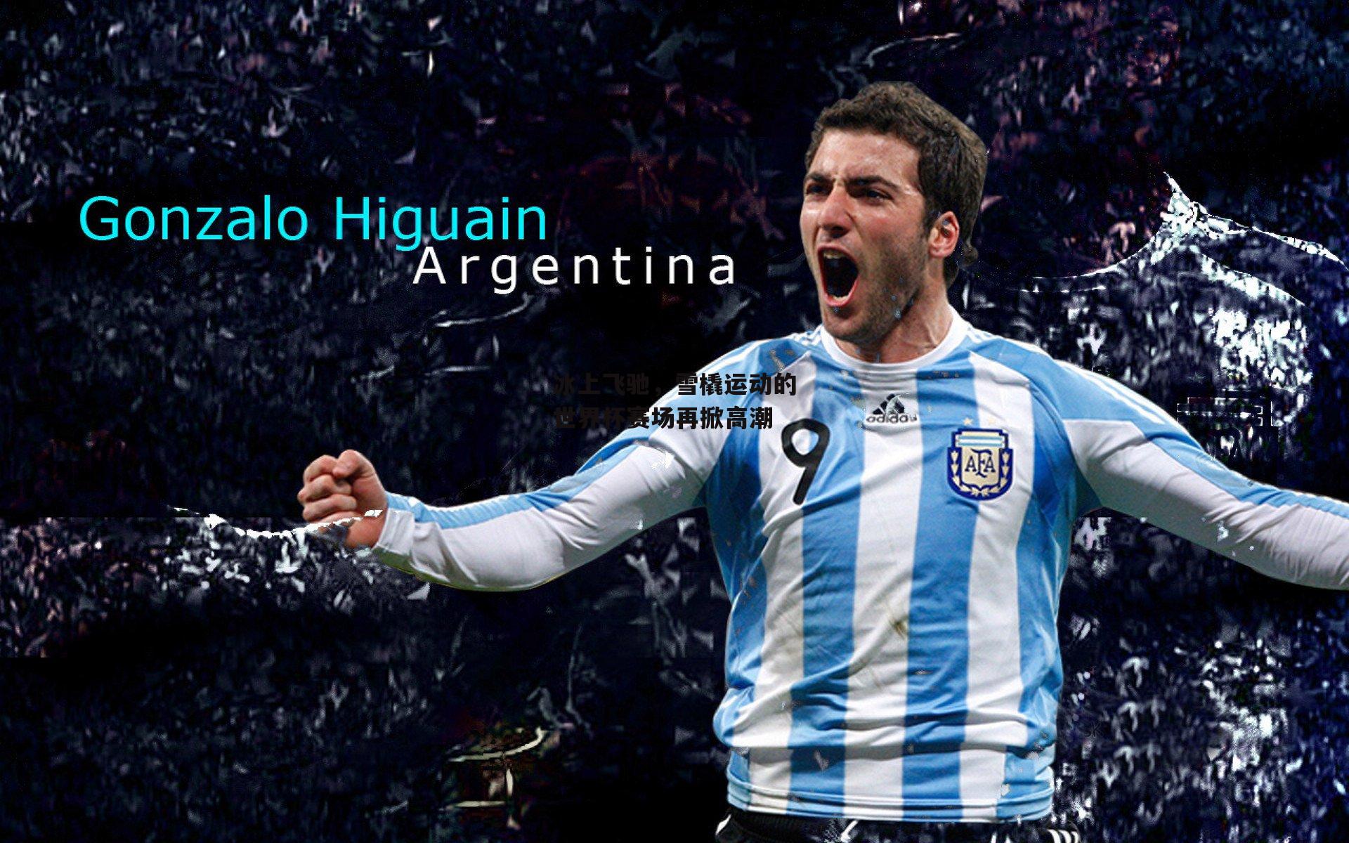 冰上飞驰,雪橇运动的世界杯赛场再掀高潮