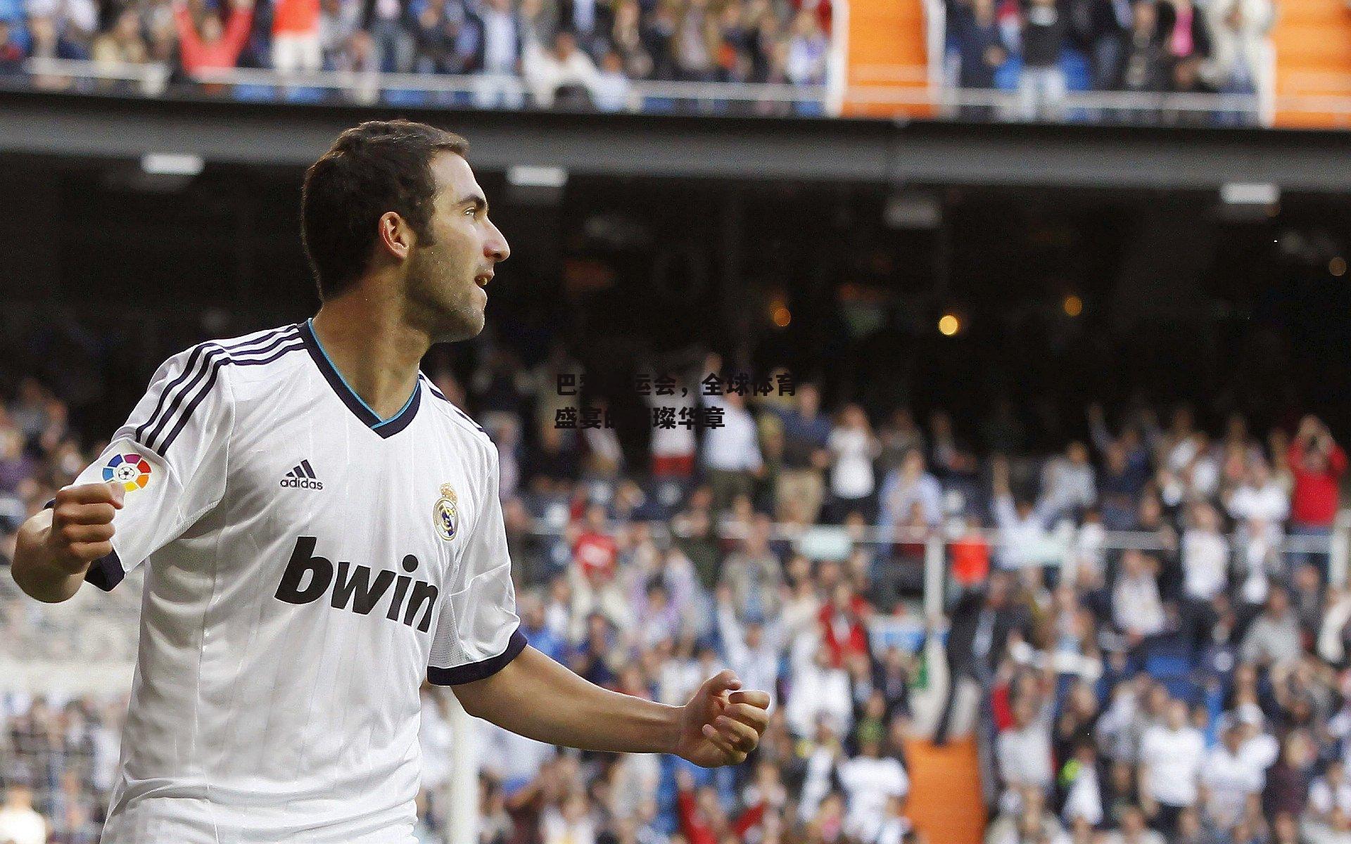 巴黎奥运会,全球体育盛宴的璀璨华章