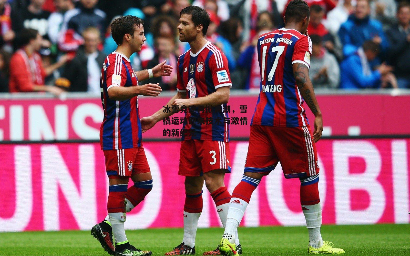 冰雪竞速再掀高潮,雪橇运动迎来技术与激情的新纪元